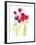 Flower Garden V-Sandra Jacobs-Framed Giclee Print