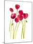 Flower Garden V-Sandra Jacobs-Mounted Giclee Print