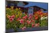 Flower-Garden with Dahlias-Ludwig Mallaun-Mounted Photographic Print