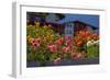 Flower-Garden with Dahlias-Ludwig Mallaun-Framed Photographic Print