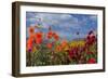 Flower-Garden with Dahlias-Ludwig Mallaun-Framed Photographic Print