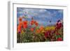 Flower-Garden with Dahlias-Ludwig Mallaun-Framed Photographic Print