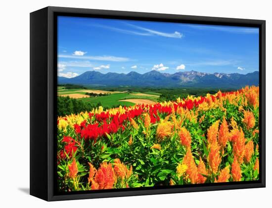 Flower Garden-null-Framed Stretched Canvas