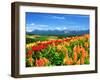 Flower Garden-null-Framed Premium Photographic Print