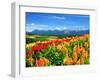 Flower Garden-null-Framed Premium Photographic Print
