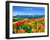 Flower Garden-null-Framed Photographic Print