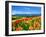 Flower Garden-null-Framed Photographic Print