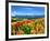 Flower Garden-null-Framed Photographic Print