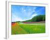 Flower Garden-null-Framed Photographic Print