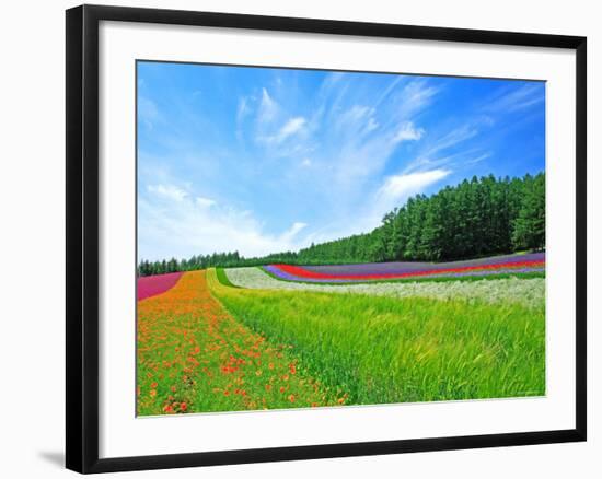 Flower Garden-null-Framed Photographic Print