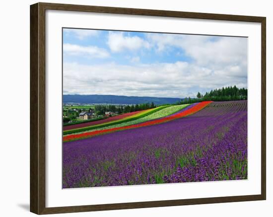 Flower Garden-null-Framed Photographic Print