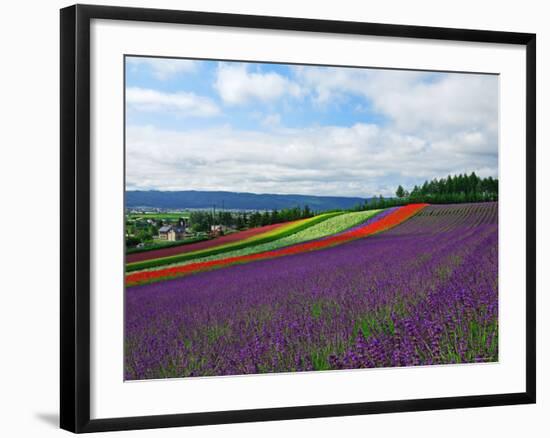 Flower Garden-null-Framed Photographic Print