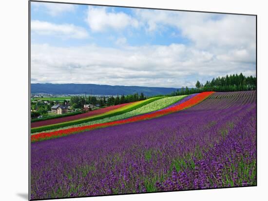 Flower Garden-null-Mounted Photographic Print