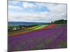 Flower Garden-null-Mounted Photographic Print