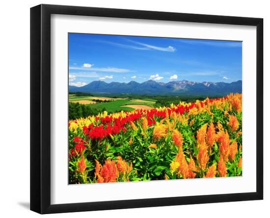 Premium Photographic Print, , large