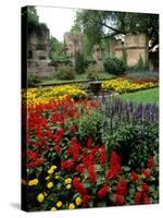 Flower Gardens in Old Town by Rhine River, St Kastor Church, Koblenz, Germany-Bill Bachmann-Stretched Canvas