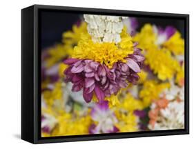 Flower Garlands on a Stall for Temple Offerings, Little India, Singapore, South East Asia-Amanda Hall-Framed Stretched Canvas