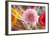 Flower, Gerbera, Blossom-Nikky Maier-Framed Photographic Print