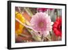 Flower, Gerbera, Blossom-Nikky Maier-Framed Photographic Print