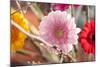 Flower, Gerbera, Blossom-Nikky Maier-Mounted Photographic Print