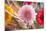 Flower, Gerbera, Blossom-Nikky Maier-Mounted Photographic Print