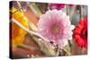 Flower, Gerbera, Blossom-Nikky Maier-Stretched Canvas
