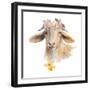 Flower Goat-Lanie Loreth-Framed Art Print