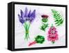 Flower Grass Lavender, Thistle, Foxgloves, Fern, Rhubarb-anna42f-Framed Stretched Canvas