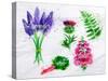 Flower Grass Lavender, Thistle, Foxgloves, Fern, Rhubarb-anna42f-Stretched Canvas