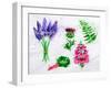 Flower Grass Lavender, Thistle, Foxgloves, Fern, Rhubarb-anna42f-Framed Art Print