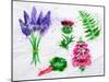 Flower Grass Lavender, Thistle, Foxgloves, Fern, Rhubarb-anna42f-Mounted Art Print