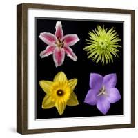 Flower Group 1-Jim Christensen-Framed Photographic Print