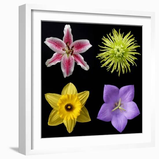 Flower Group 1-Jim Christensen-Framed Photographic Print