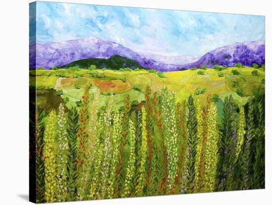 Flower Hedge-Allan Friedlander-Stretched Canvas