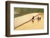 Flower Hmong Ethnic Group Women Working in the Rice Field-Bruno Morandi-Framed Photographic Print