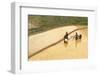 Flower Hmong Ethnic Group Women Working in the Rice Field-Bruno Morandi-Framed Photographic Print