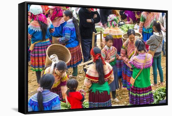 Flower Hmong Tribes People at Market, Nr Bac Ha, Nr Sapa, Vietnam-Peter Adams-Framed Stretched Canvas