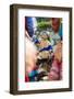 Flower Hmong Woman Selling Dogs at Market, Bac Ha, Vietnam-Peter Adams-Framed Photographic Print