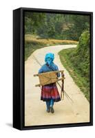 Flower Hmong Woman Walking Along Road, Nr Bac Ha, Nr Sapa, N. Vietnam-Peter Adams-Framed Stretched Canvas