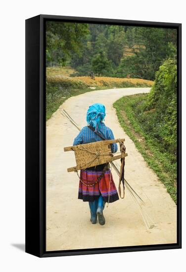 Flower Hmong Woman Walking Along Road, Nr Bac Ha, Nr Sapa, N. Vietnam-Peter Adams-Framed Stretched Canvas