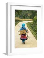 Flower Hmong Woman Walking Along Road, Nr Bac Ha, Nr Sapa, N. Vietnam-Peter Adams-Framed Photographic Print