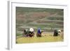 Flower Hmong Women Working in the Rice Field, Bac Ha Area, Vietnam, Indochina, Southeast Asia, Asia-Bruno Morandi-Framed Photographic Print