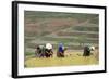 Flower Hmong Women Working in the Rice Field, Bac Ha Area, Vietnam, Indochina, Southeast Asia, Asia-Bruno Morandi-Framed Photographic Print