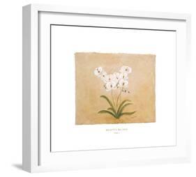 Flower I-Brigitte Beliose-Framed Art Print