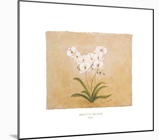 Flower I-Brigitte Beliose-Mounted Art Print