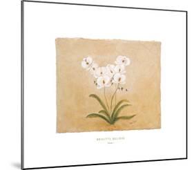 Flower I-Brigitte Beliose-Mounted Art Print