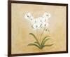 Flower I-Brigitte Beliose-Framed Premium Giclee Print