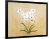 Flower I-Brigitte Beliose-Framed Premium Giclee Print