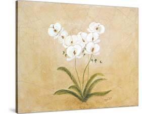 Flower I-Brigitte Beliose-Stretched Canvas