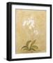 Flower II-Brigitte Beliose-Framed Art Print